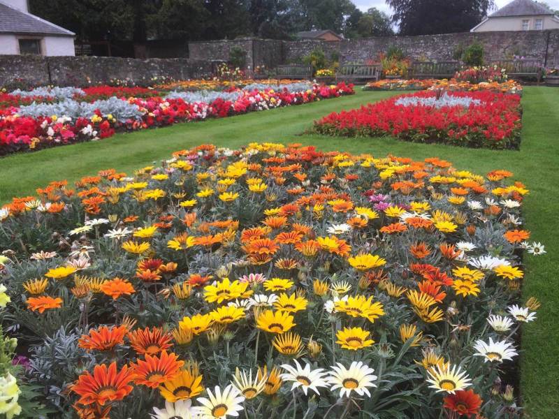 Melrose-flower-garden