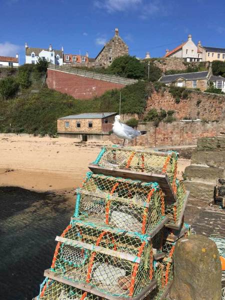 Crail