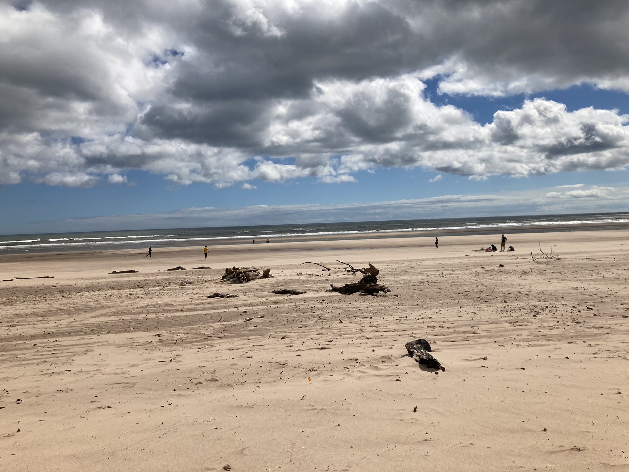 St Cyrus Beach