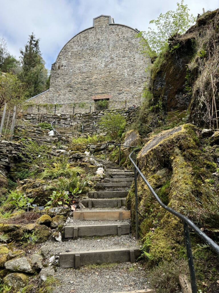 Stone staircase climbing to the Fernery above