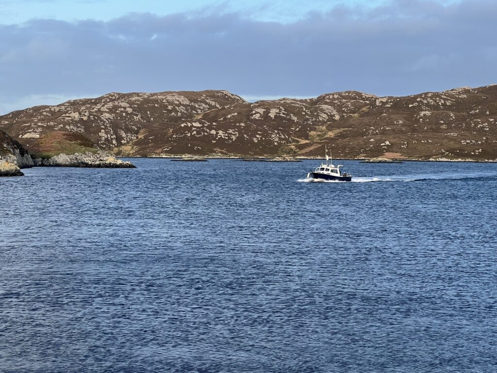 Wildlife boat trip Benbecula
